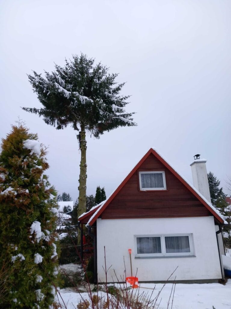 PHOTO-2025-12-09-17-39-03