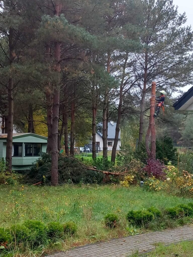 PHOTO-2025-12-09-17-39-04