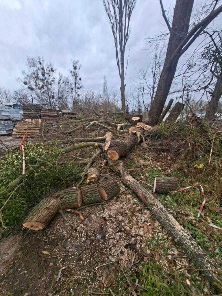 PHOTO-2025-12-09-17-39-04(2)