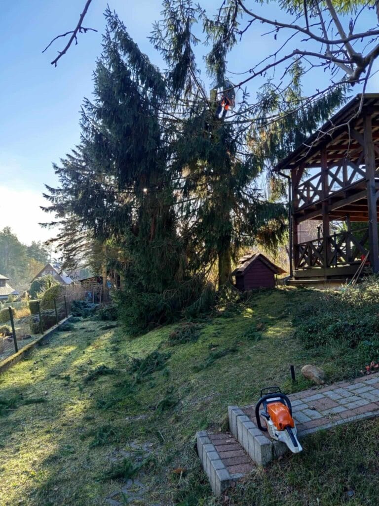 PHOTO-2025-12-09-17-39-04(3)