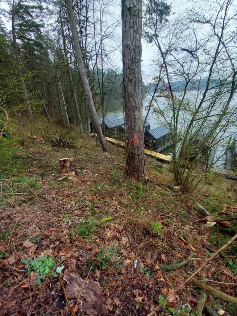 PHOTO-2025-12-09-17-39-05(2)