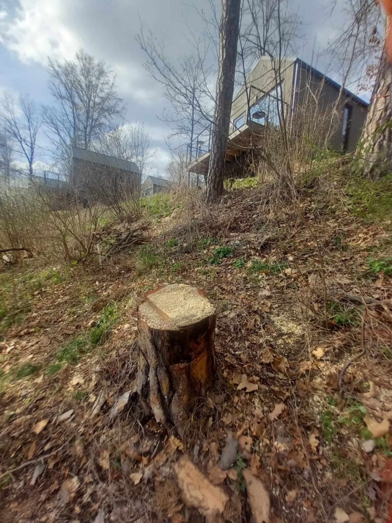 PHOTO-2025-12-09-17-39-06