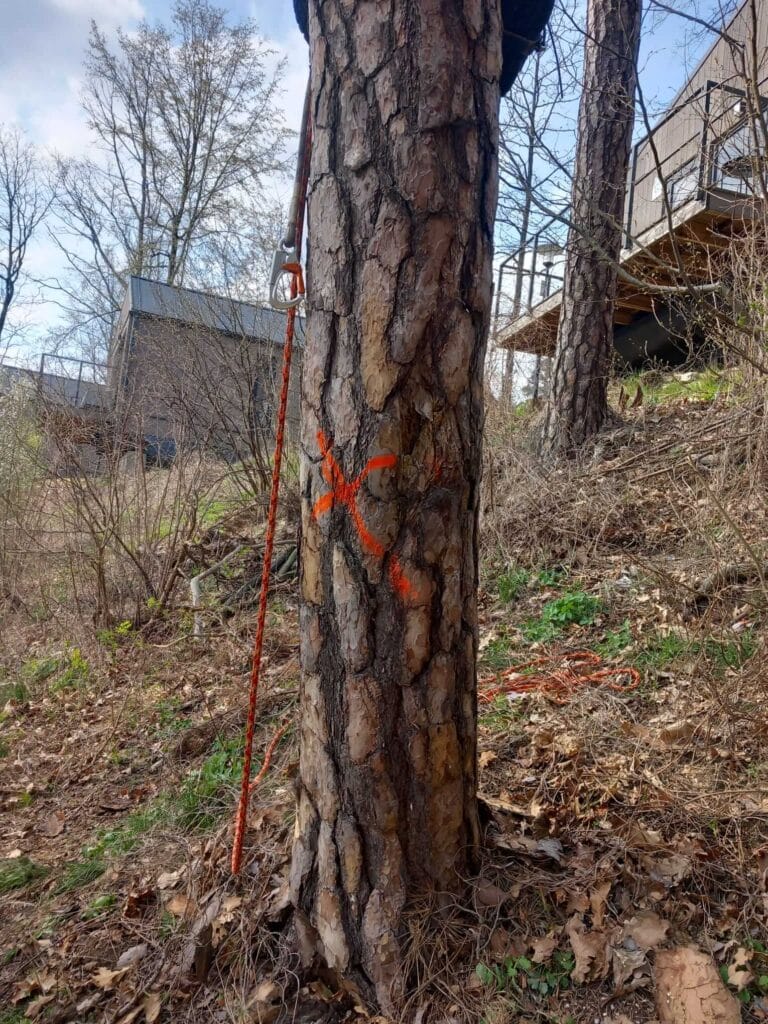 PHOTO-2025-12-09-17-39-06(1)