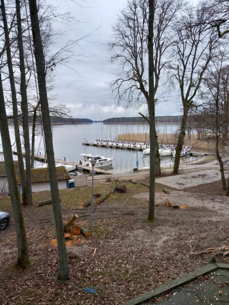 PHOTO-2025-12-09-17-39-06(2)