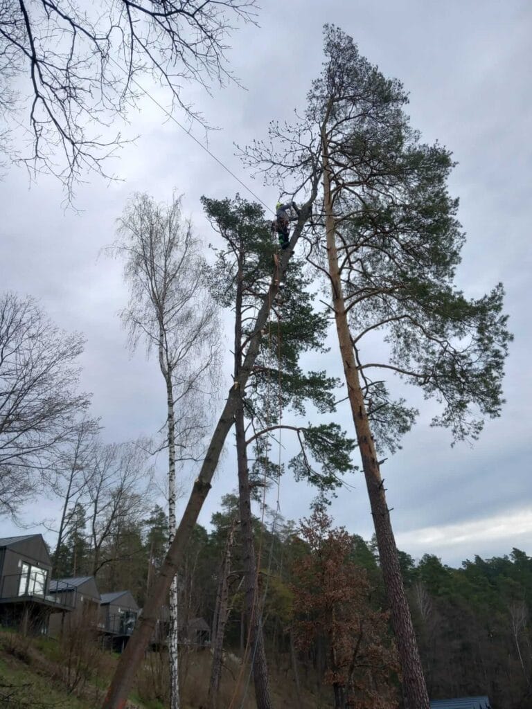 PHOTO-2025-12-09-17-39-06(3)