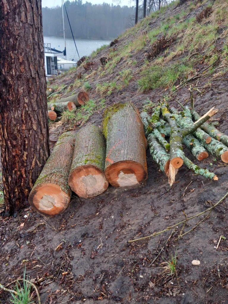 PHOTO-2025-12-09-17-39-07(1)