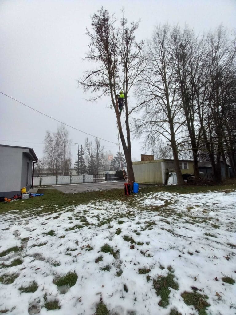 PHOTO-2025-12-09-17-39-08