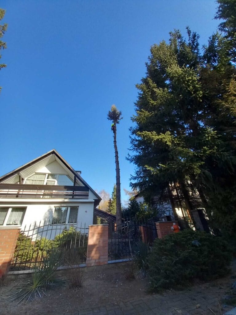 PHOTO-2025-12-09-17-39-08(1)