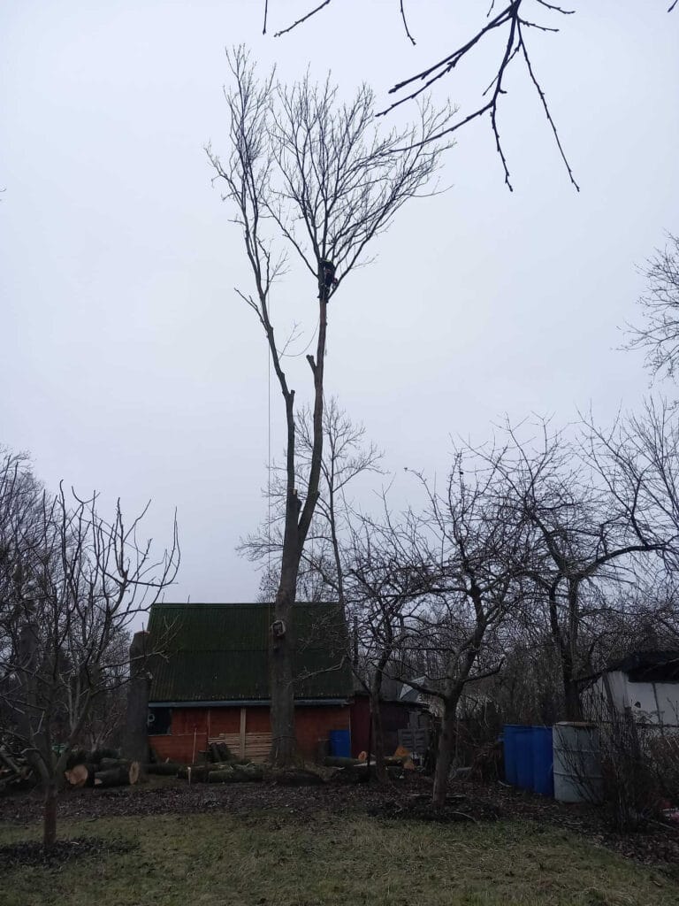 PHOTO-2025-12-09-17-39-08(2)