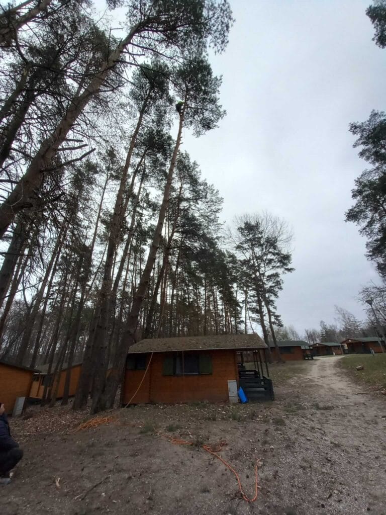 PHOTO-2025-12-09-17-39-10