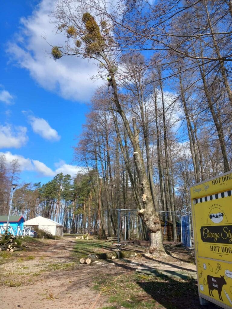 PHOTO-2025-12-09-17-39-10(1)