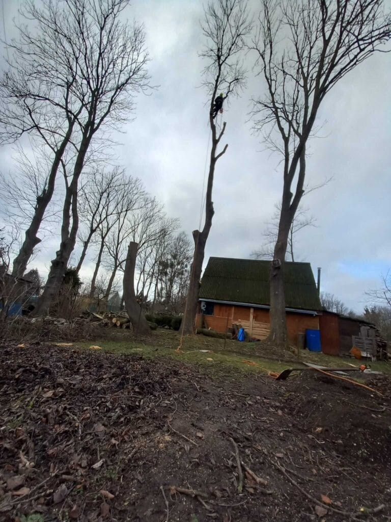 PHOTO-2025-12-09-17-39-10(3)