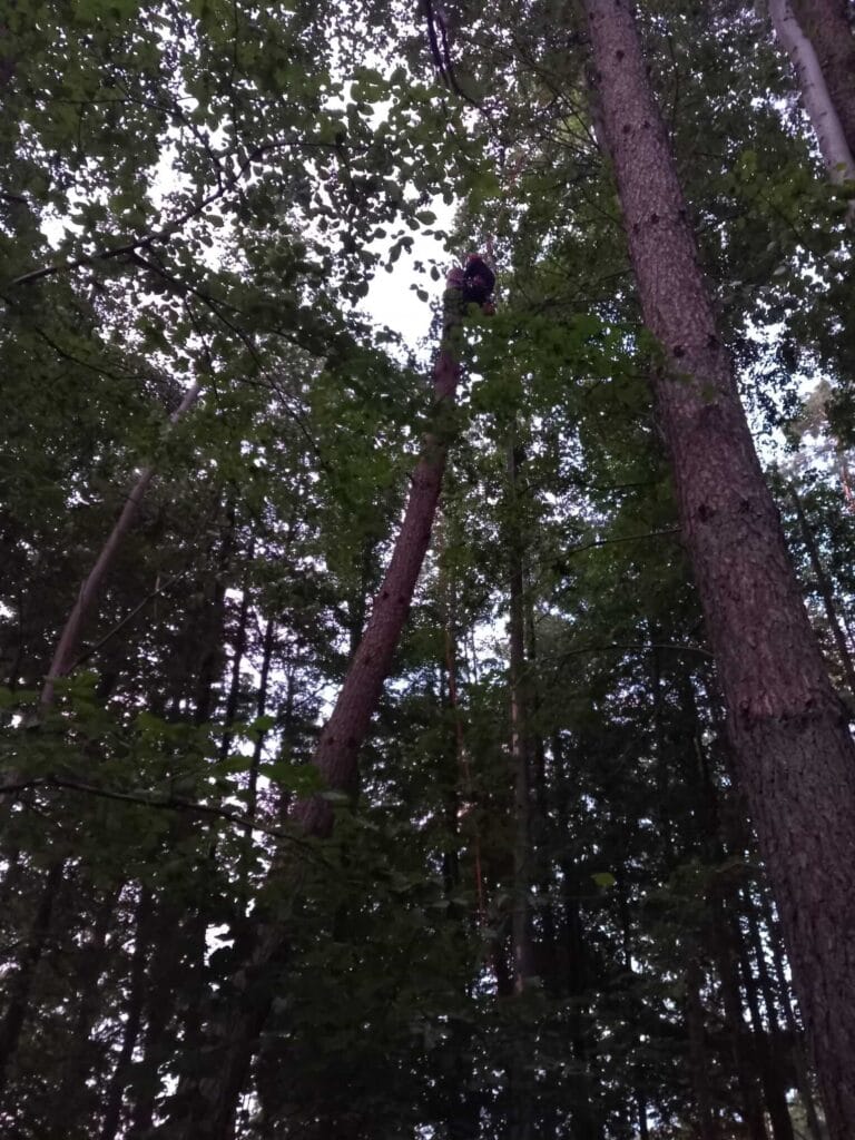 PHOTO-2025-12-09-17-39-11(1)