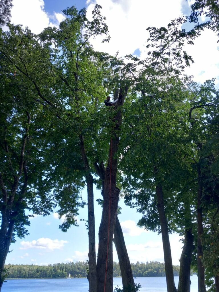 PHOTO-2025-12-09-17-39-11(2)