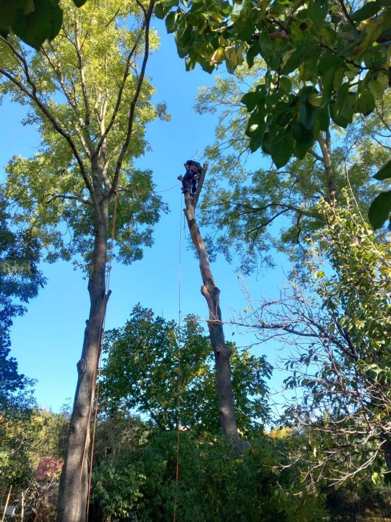 PHOTO-2025-12-09-17-39-12