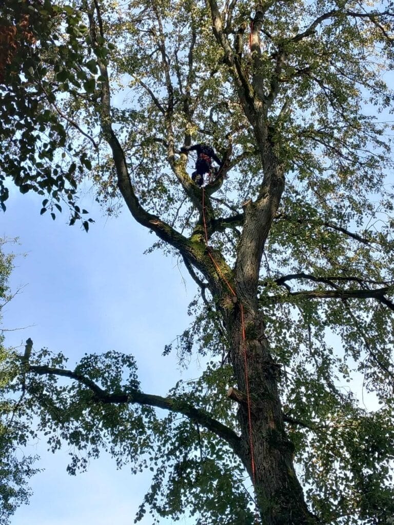 PHOTO-2025-12-09-17-39-12(2)